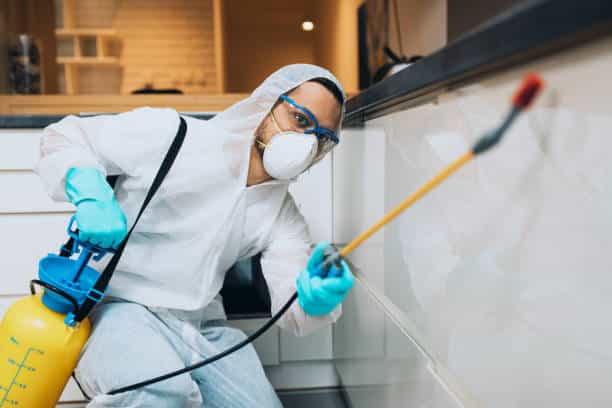 exterminator in workwear spraying pesticide in kitchen in Pest Infestation Emergencies exterminator in workwear spraying pesticide in kitchen in Pest Infestation Emergencies
