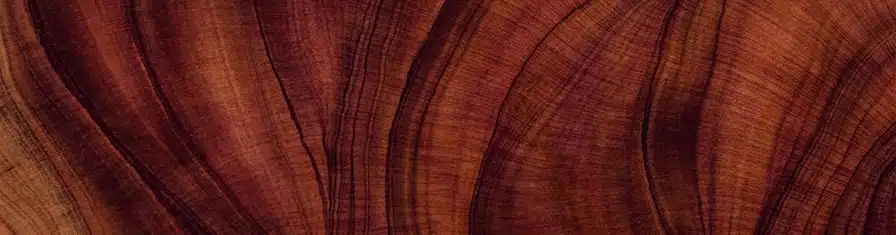 Wood grain