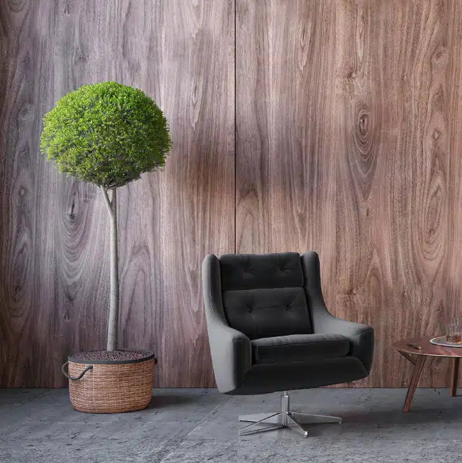 blog-detail-img