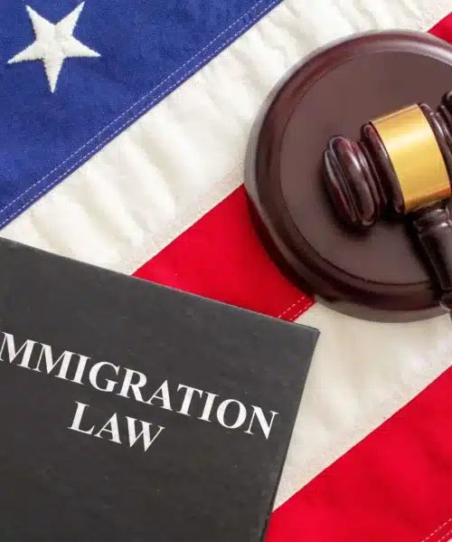 Immigration Law Firm