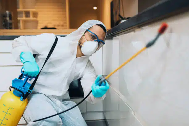exterminator in workwear spraying pesticide in kitchen in Pest Infestation Emergencies
