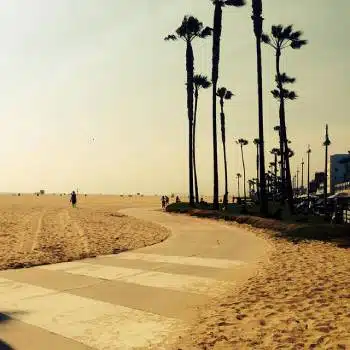 Los Angeles City