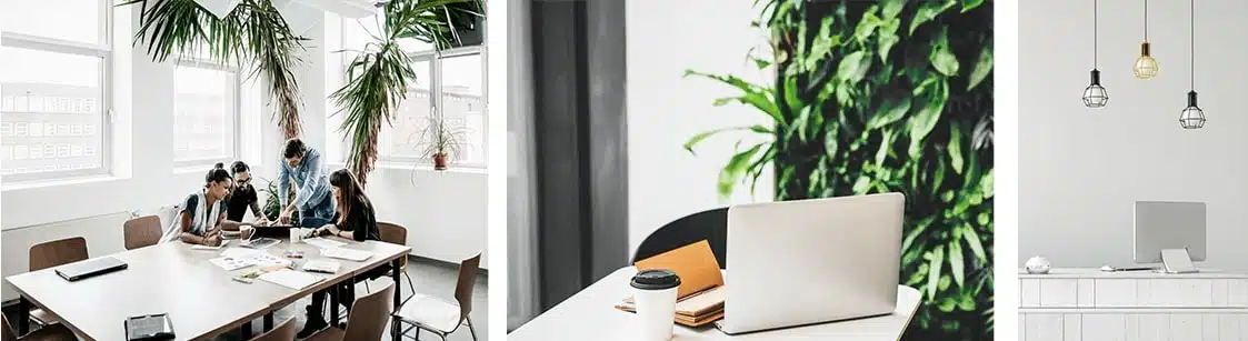 Modern office space with plants, a meeting table, and a laptop setup in a clean, minimalist environment.
