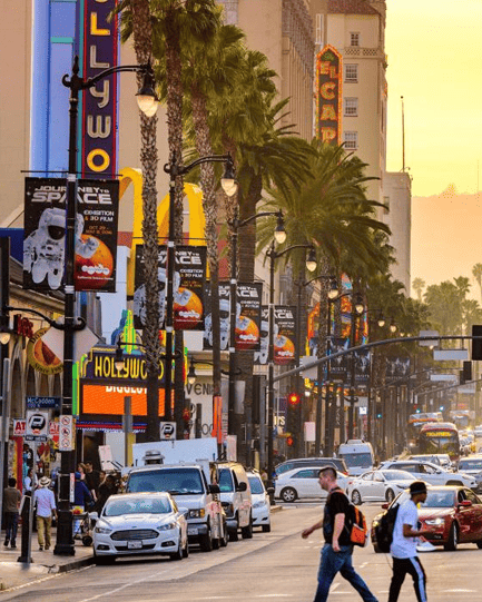 Busy Hollywood street lined with palm trees and shops in California