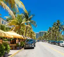 Miami Beach street lined with palm trees and beachfront businesses