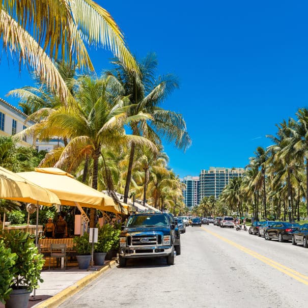 Miami Beach street lined with palm trees and beachfront businesses